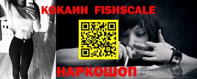 гидра Будённовск