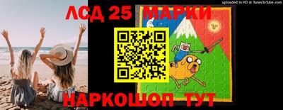 гидра Будённовск