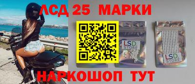 гидра Будённовск
