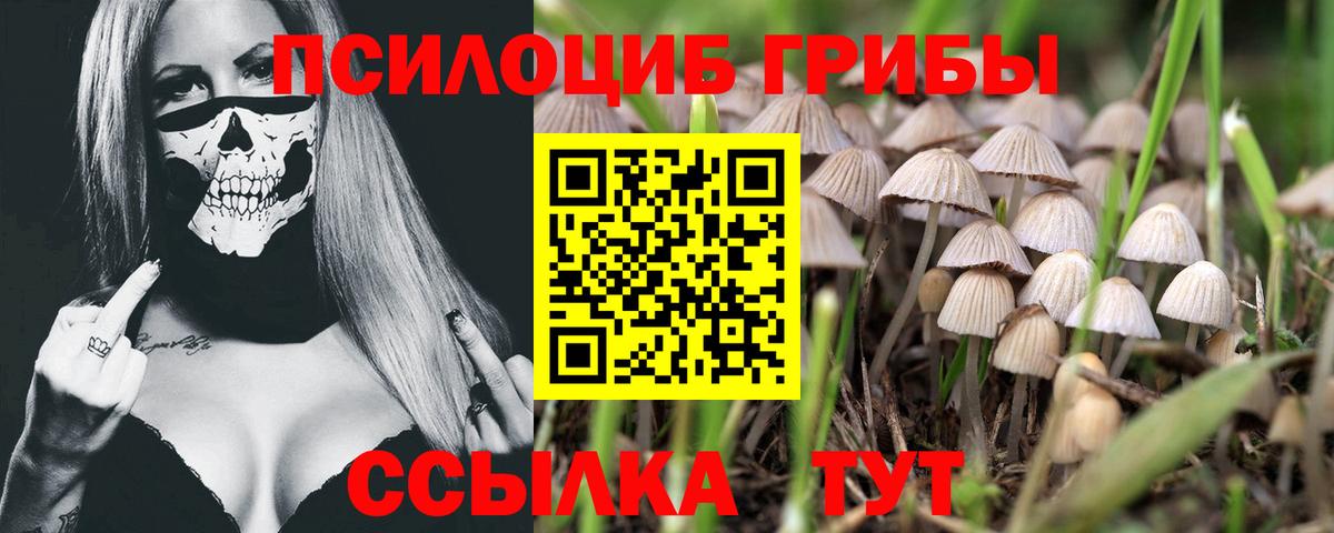 Псилоцибиновые грибы Psilocybe  Вход с VPN  Прокопьевск 